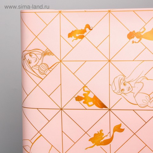 Бумага упаковочная глянцевая двусторонняя , Принцессы,  60x90 см