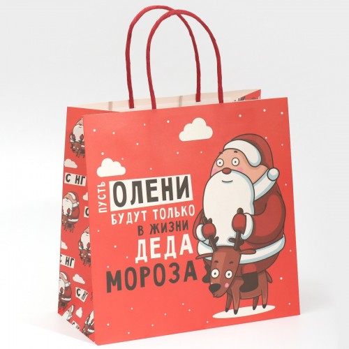 Пакет подарочный «Дед мороз», 22 × 22 × 11 см